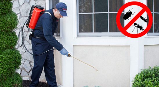 Varto Bit İlaçlama böcek ilaçlama ve haşere kontrolü — ilaclama-tr.com